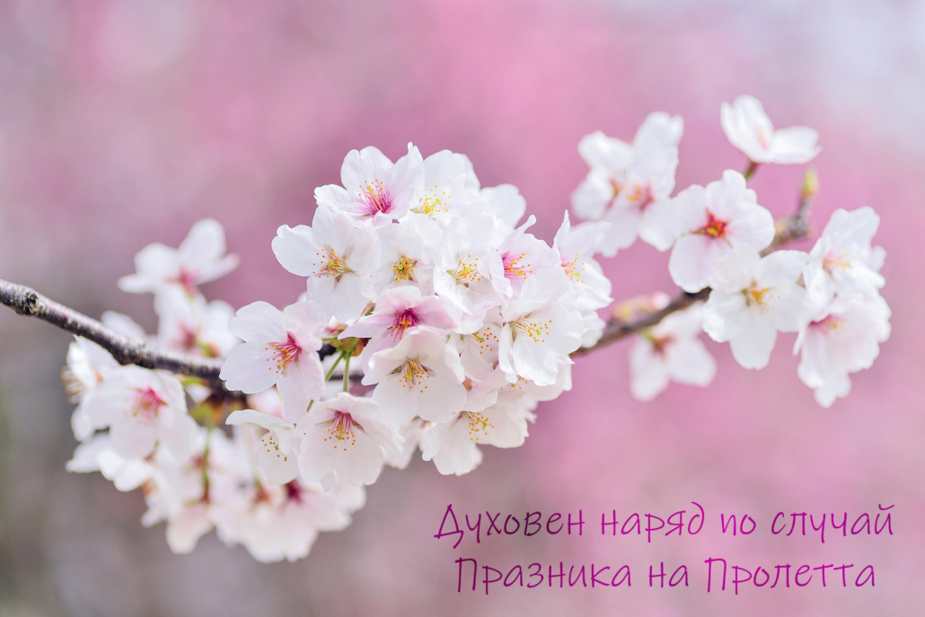 Foto Narjad 22.03.2025